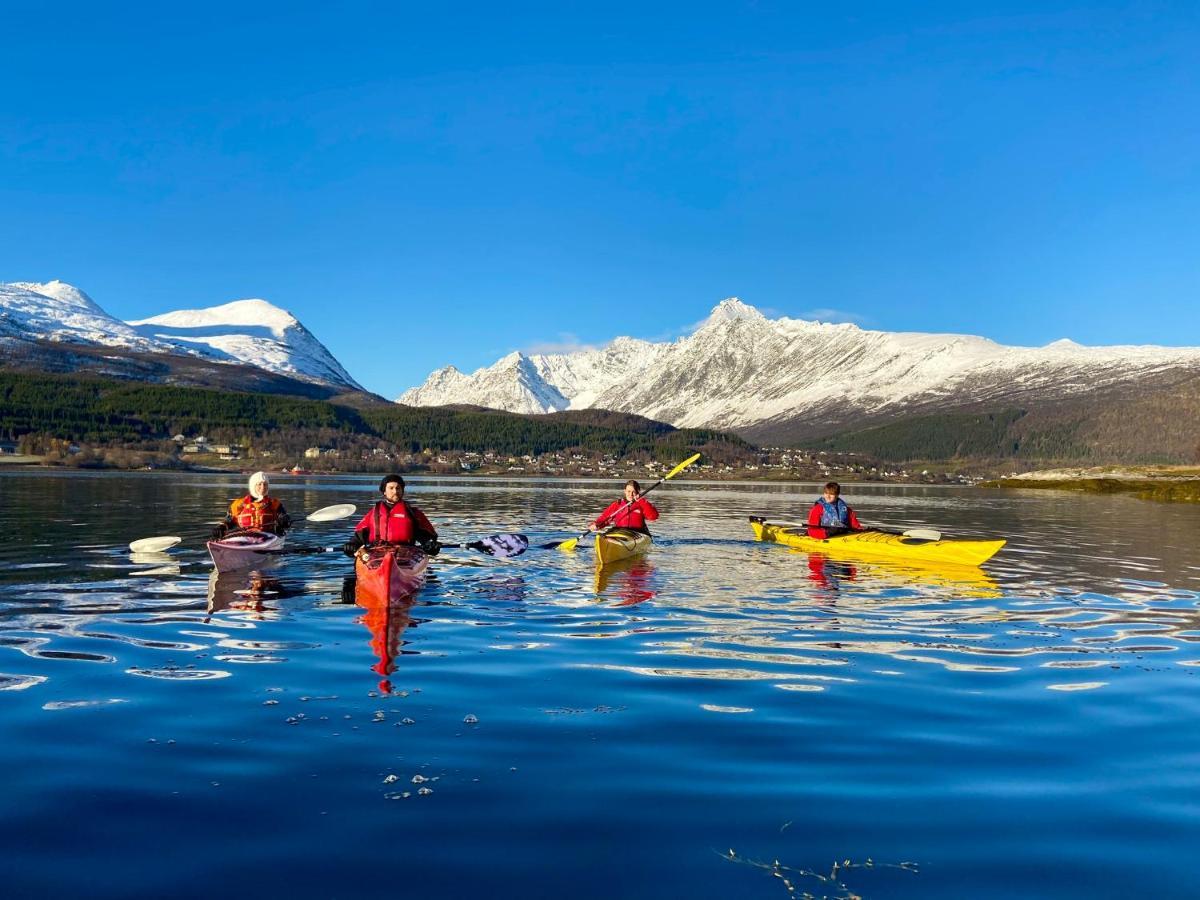 Solhov, Castle Of The Lyngen Alps Hotel Lyngseidet Luaran gambar